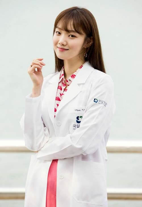 Pemain Drama Korea Doctors