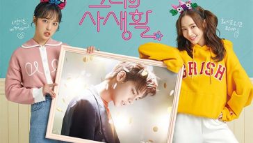 Sinopsis Drama Her Private Life poster